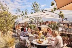 Rucola at The Conduit